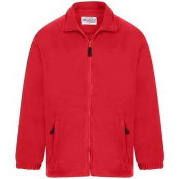 Textiel Heren Sweaters / Sweatshirts Absolute Apparel  Rood