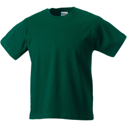 Textiel Kinderen T-shirts korte mouwen Jerzees Schoolgear ZT180B Groen