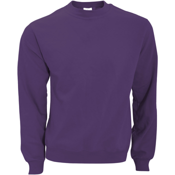 Textiel Heren Sweaters / Sweatshirts B And C WUI20 Violet