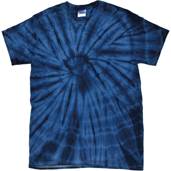 Textiel Heren T-shirts met lange mouwen Colortone Tonal Blauw