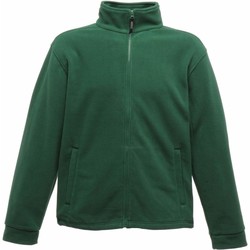 Textiel Heren Sweaters / Sweatshirts Regatta  Groen