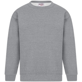Textiel Heren Sweaters / Sweatshirts Absolute Apparel Sterling Grijs
