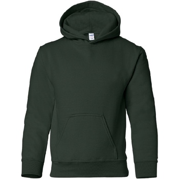 Textiel Kinderen Sweaters / Sweatshirts Gildan 18500B Groen