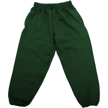 Textiel Kinderen Broeken / Pantalons Jerzees Schoolgear 750B Groen