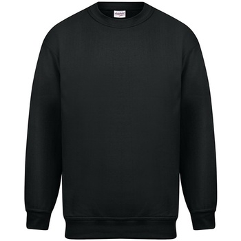 Textiel Heren Sweaters / Sweatshirts Absolute Apparel Magnum Zwart
