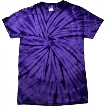 Textiel Heren T-shirts met lange mouwen Colortone Tonal Violet