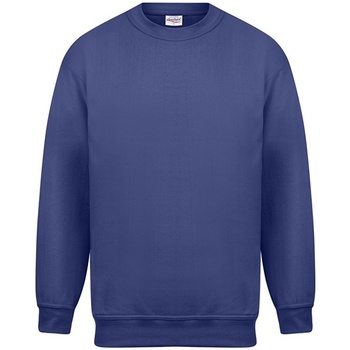 Textiel Heren Sweaters / Sweatshirts Absolute Apparel Magnum Blauw