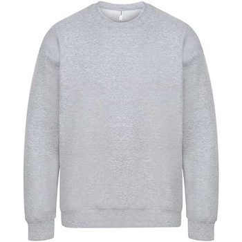 Textiel Heren Sweaters / Sweatshirts Casual Classics  Grijs
