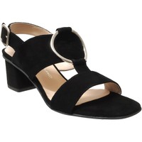 Schoenen Dames Sandalen / Open schoenen Brenda Zaro F3586 Velvet zwart