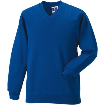 Textiel Kinderen Sweaters / Sweatshirts Jerzees Schoolgear 272B Multicolour