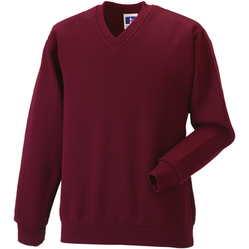 Textiel Kinderen Sweaters / Sweatshirts Jerzees Schoolgear 272B Multicolour
