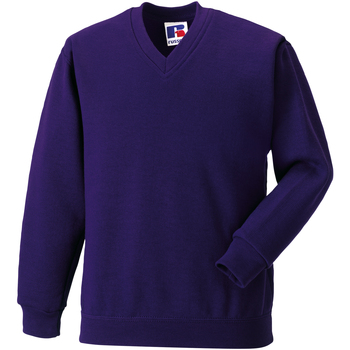 Textiel Kinderen Sweaters / Sweatshirts Jerzees Schoolgear 272B Violet