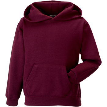 Textiel Kinderen Sweaters / Sweatshirts Jerzees Schoolgear 575B Multicolour