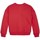 Textiel Meisjes Sweaters / Sweatshirts Tommy Hilfiger  Rood