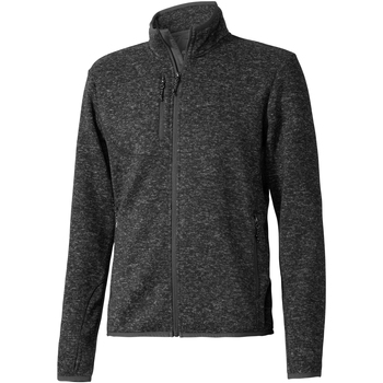 Textiel Heren Sweaters / Sweatshirts Elevate  Grijs