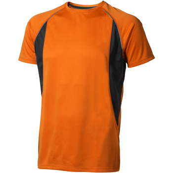 Textiel Heren T-shirts korte mouwen Elevate  Oranje