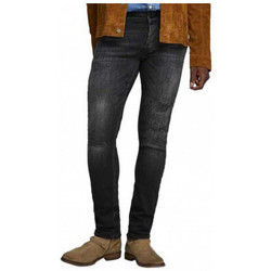 Textiel Heren Skinny Jeans Jack & Jones  Multicolour