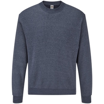 Textiel Heren Sweaters / Sweatshirts Fruit Of The Loom 62202 Blauw