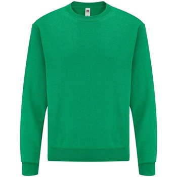 Textiel Heren Sweaters / Sweatshirts Fruit Of The Loom 62202 Groen