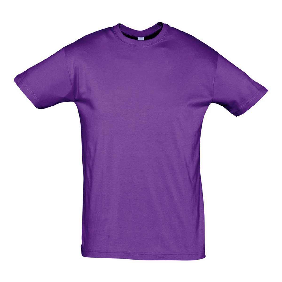 Textiel T-shirts korte mouwen Sols REGENT COLORS MEN Violet