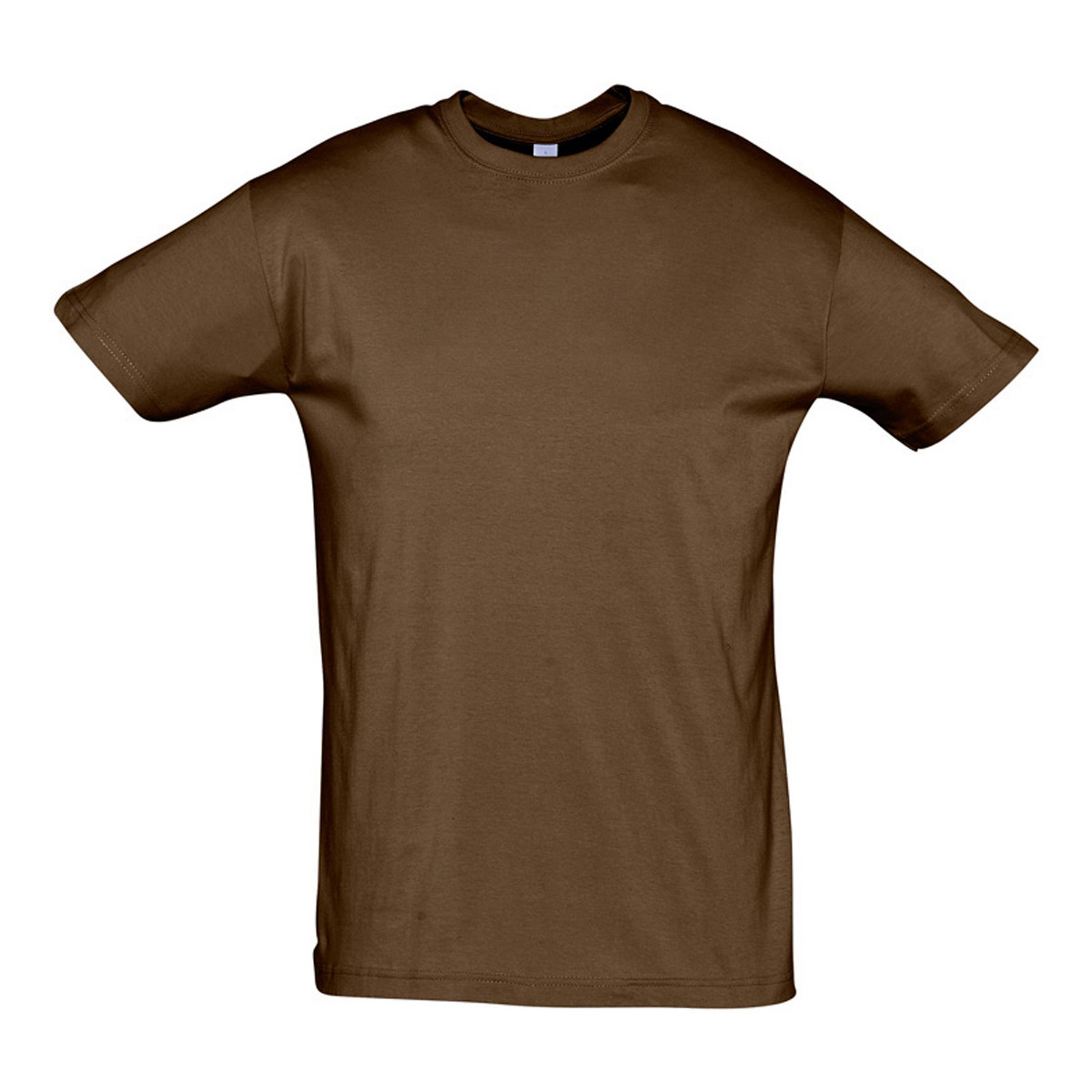 Textiel T-shirts korte mouwen Sols REGENT COLORS MEN Bruin