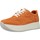 Schoenen Dames Sneakers IgI&CO 5165733 Bruin