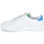 Schoenen Dames Lage sneakers adidas Originals CONTINENTAL 80 W Wit / Blauw