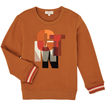 Textiel Jongens Sweaters / Sweatshirts Catimini CR15024-63-J Bruin