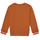Textiel Jongens Sweaters / Sweatshirts Catimini CR15024-63-J Bruin