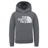 Textiel Kinderen Sweaters / Sweatshirts The North Face DREW PEAK HOODIE Grijs