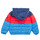 Textiel Jongens Dons gevoerde jassen Levi's COLOR BLOCK PUFFER  Multicolour