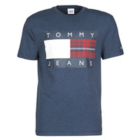 Textiel Heren T-shirts korte mouwen Tommy Jeans TJM PLAID CENTRE FLAG TEE Marine