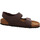 Schoenen Dames Sandalen / Open schoenen Birkenstock  Bruin