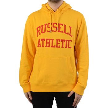 Textiel Heren Sweaters / Sweatshirts Russell Athletic 131044 Goud