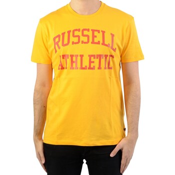 Textiel Heren T-shirts korte mouwen Russell Athletic 131041 Goud