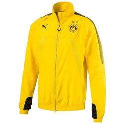 Textiel Heren Jacks / Blazers Puma BVB Stadium Jacket Geel