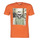 Textiel Heren T-shirts korte mouwen Jack & Jones JORSKULLING Oranje