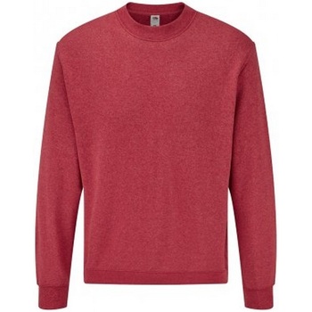 Textiel Heren Sweaters / Sweatshirts Fruit Of The Loom SS9 Rood
