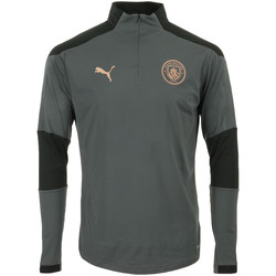 Textiel Heren T-shirts korte mouwen Puma Manchester City 1/4 Zip Top Grijs