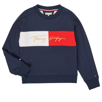 Textiel Meisjes Sweaters / Sweatshirts Tommy Hilfiger KG0KG05497-C87-J Marine