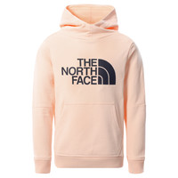 Textiel Meisjes Sweaters / Sweatshirts The North Face DREW PEAK HOODIE 2.0 Roze