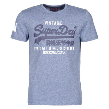 Textiel Heren T-shirts korte mouwen Superdry VL NS TEE Blauw