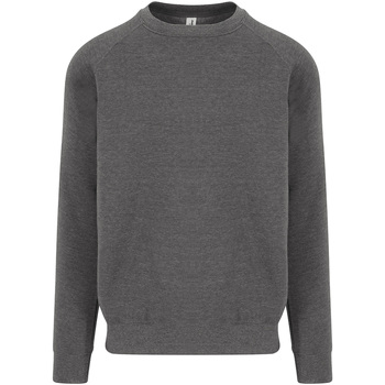 Textiel Heren Sweaters / Sweatshirts Awdis JH130 Grijs