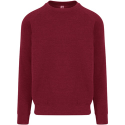 Textiel Heren Sweaters / Sweatshirts Awdis JH130 Rood