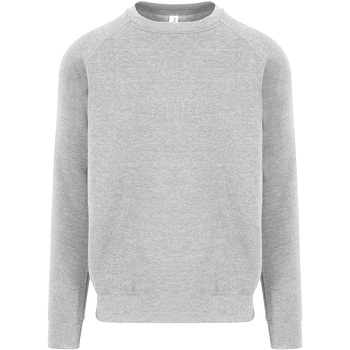 Textiel Heren Sweaters / Sweatshirts Awdis JH130 Grijs