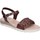 Schoenen Dames Sandalen / Open schoenen Rizzoli BK607 Bruin