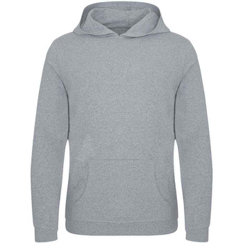 Textiel Sweaters / Sweatshirts Ecologie EA040 Grijs