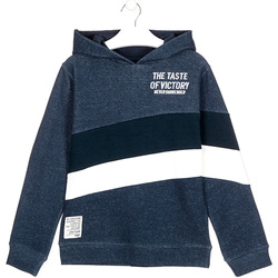 Textiel Kinderen Sweaters / Sweatshirts Losan 023-6002AL Blauw