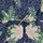 Textiel Meisjes Jumpsuites / Tuinbroeken Roxy IN THE MOUNTAIN Multicolour