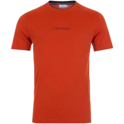 Textiel Heren T-shirts korte mouwen Calvin Klein Jeans K10K104934 Rood